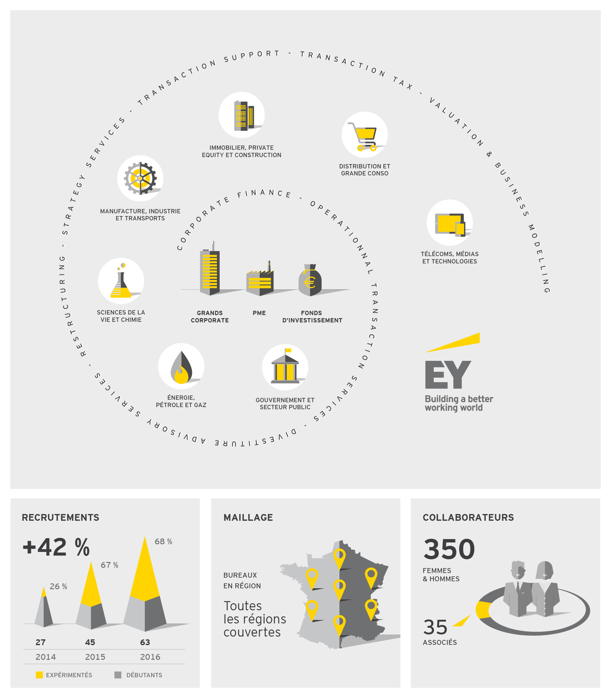 L'activité de EY en image © Infographie ÉCLAIRAGE PUBLIC