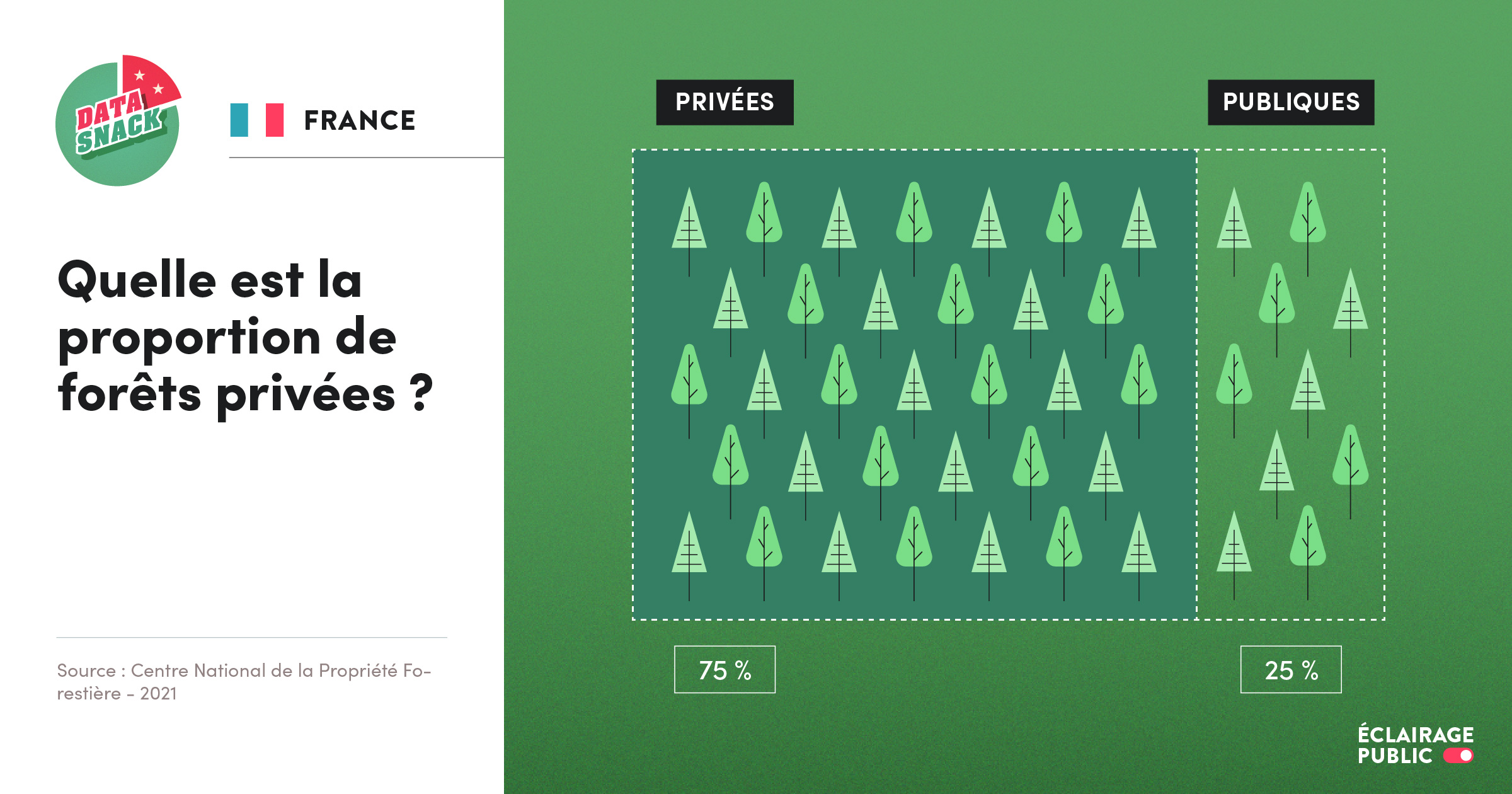 Data visualisation de la proportion de forêts privées par rapport aux forêts publiques en France. © Infographie ÉCLAIRAGE PUBLIC