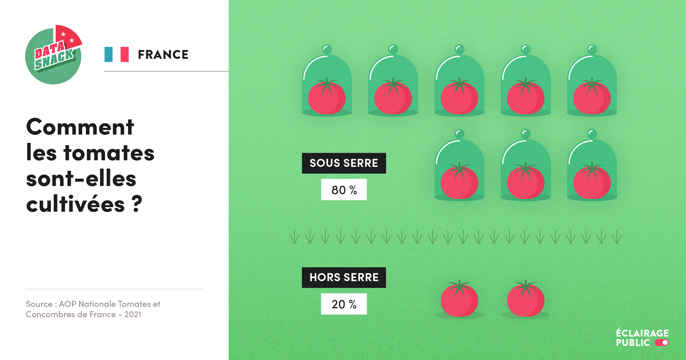 Data visualisation de la proportion de tomates cultivées sous serre et hors serre en France. © Infographie ÉCLAIRAGE PUBLIC