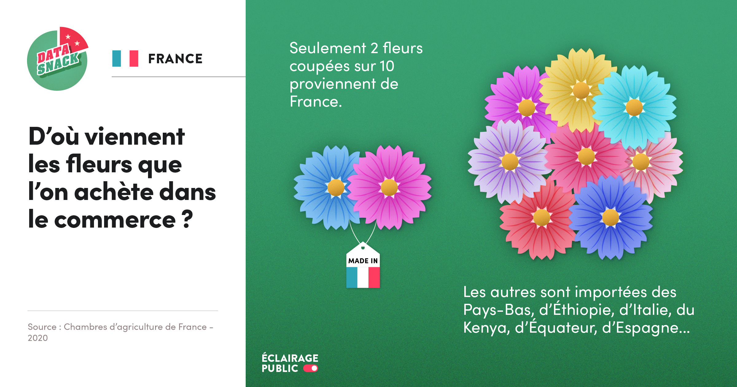Data visualisation de la proportion de fleurs coupées importées en France © Infographie ÉCLAIRAGE PUBLIC