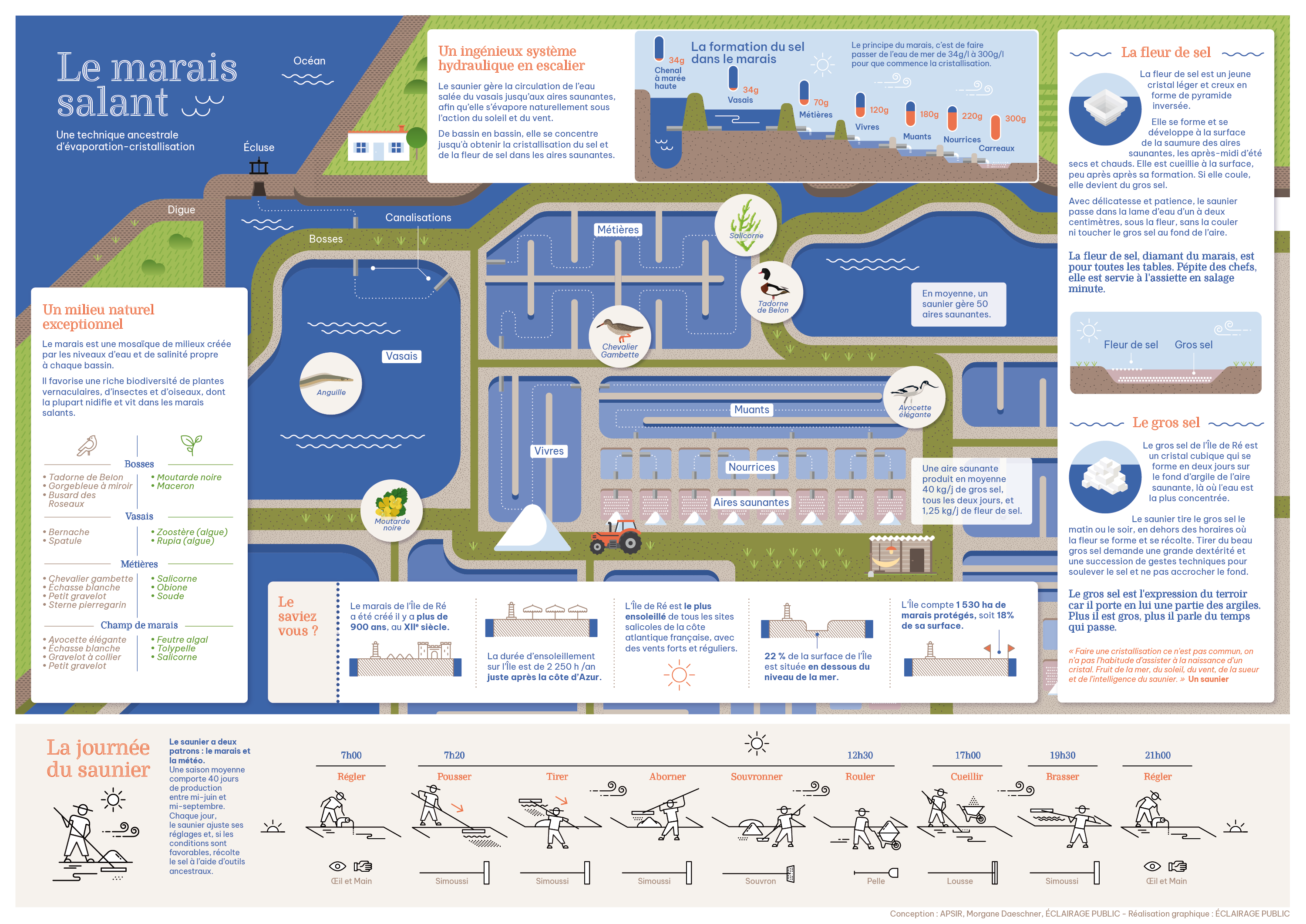 infographie-APSIR-recto-ECLAIRAGE PUBLIC