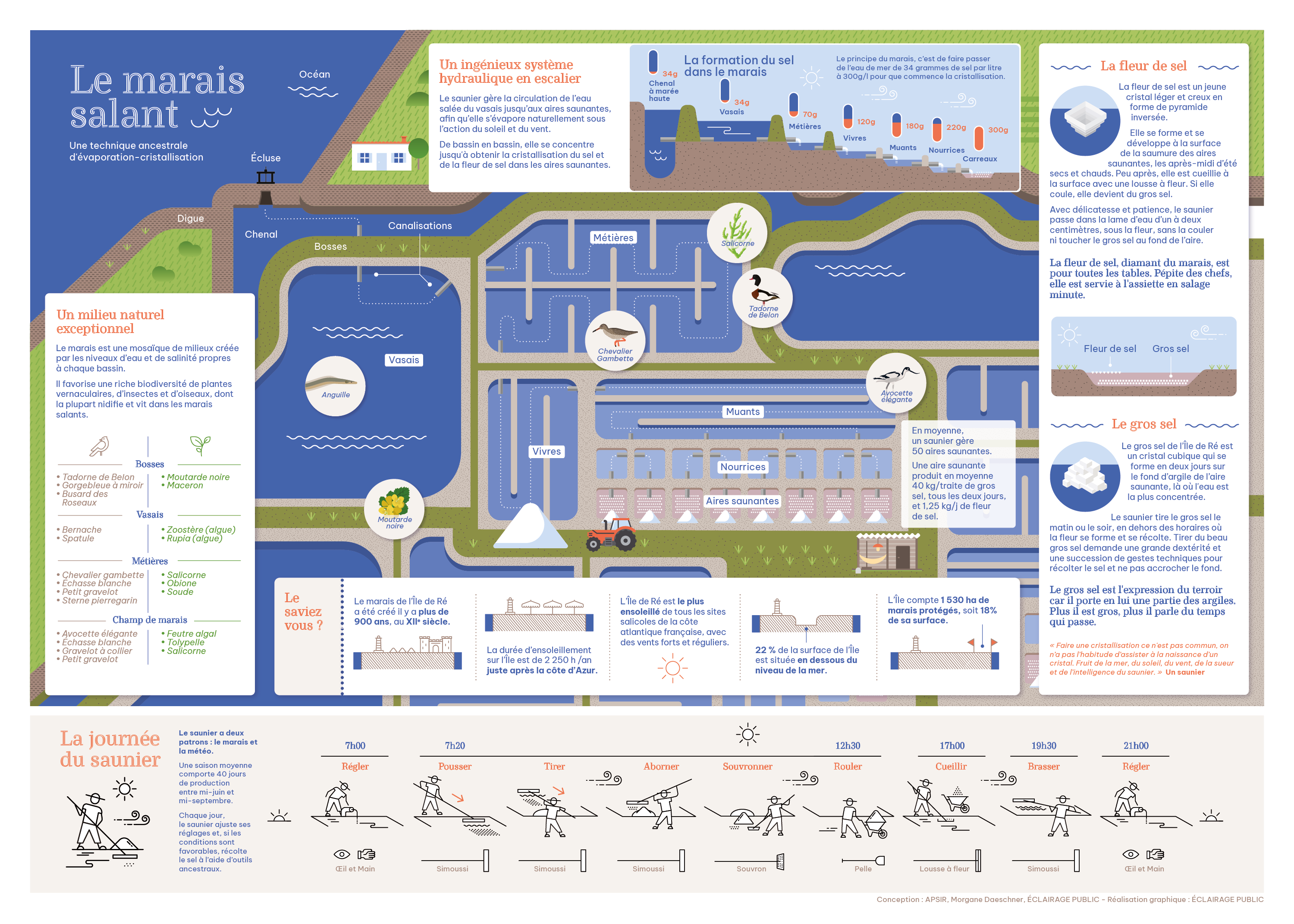 infographie APSIR-ECLAIRAGE PUBLIC-poster-260113